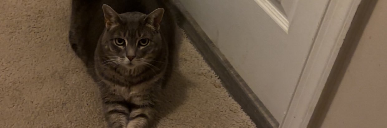 nleary26's profile banner image
