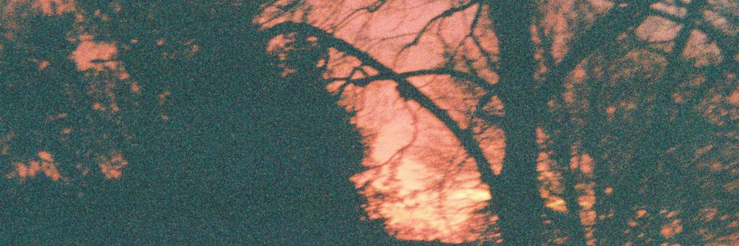 deadorita's profile banner image