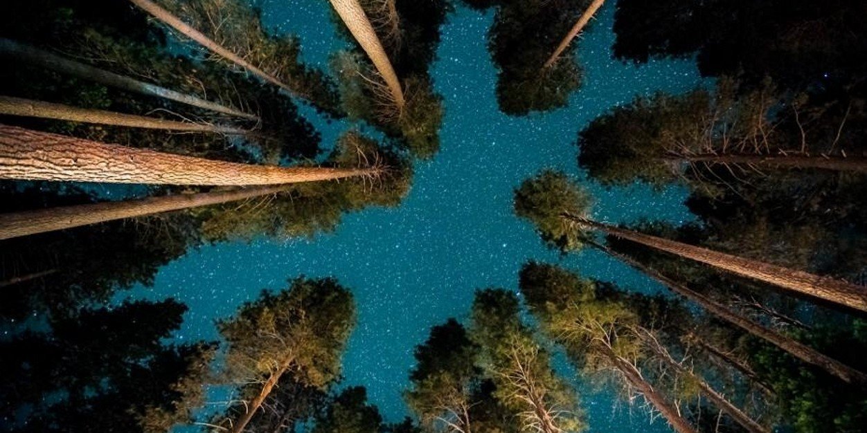 hannahnelson28's profile banner image