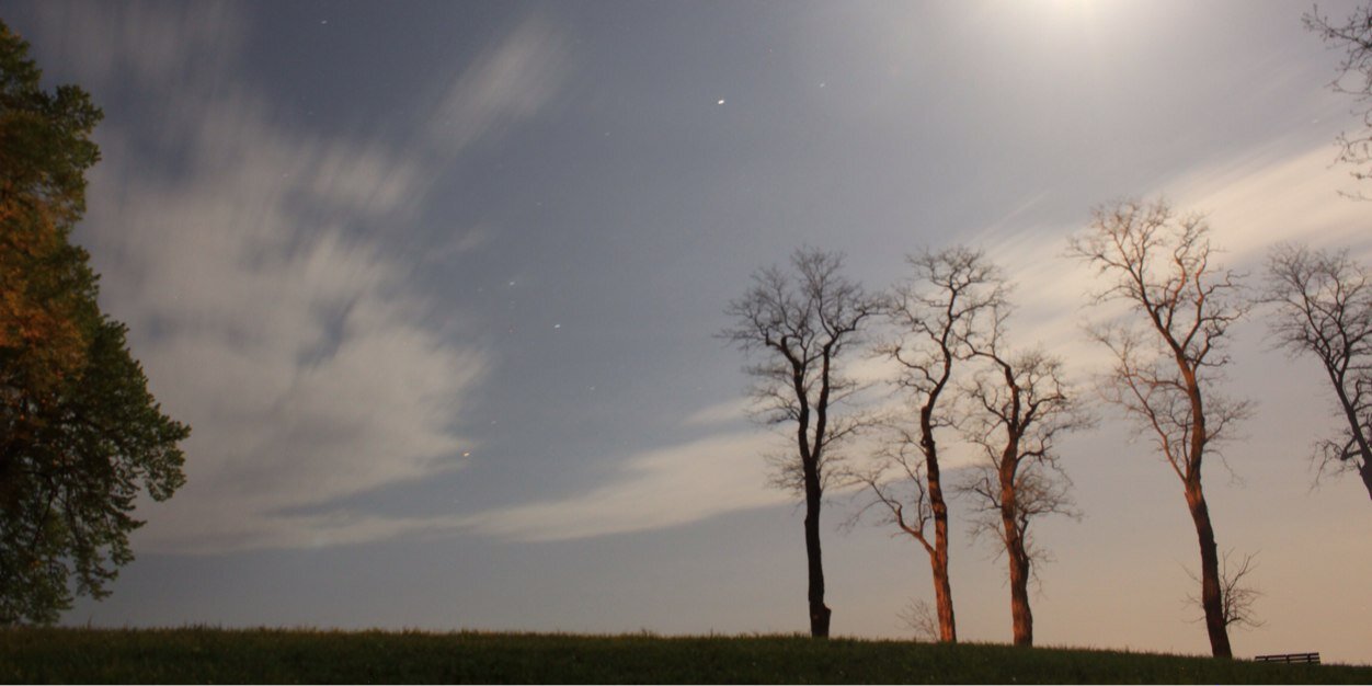 mquigs95's profile banner image