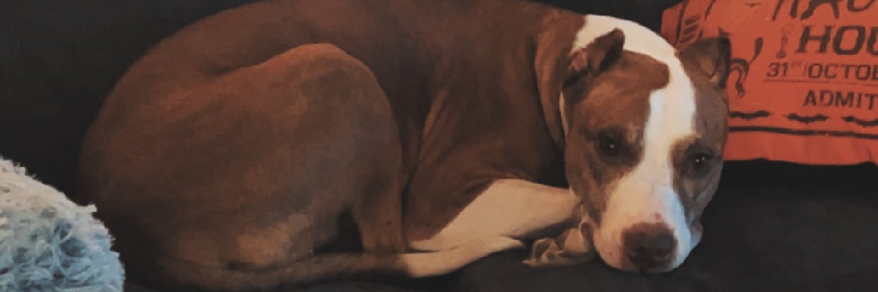 CGH_x_'s profile banner image