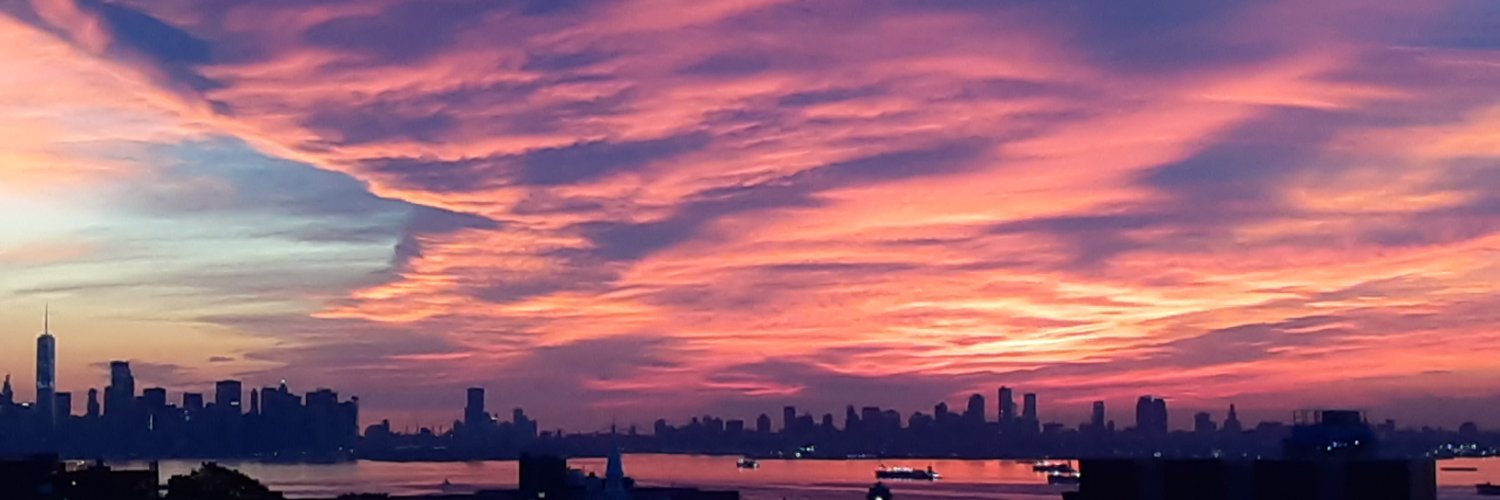 denawurman's profile banner image