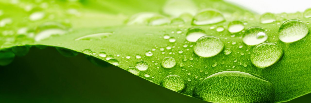 Ingenioussalon's profile banner image