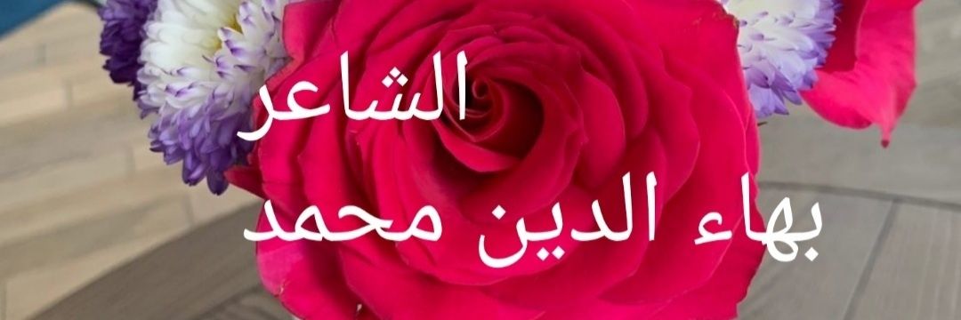 Bahaa El Din Mohamed's banner