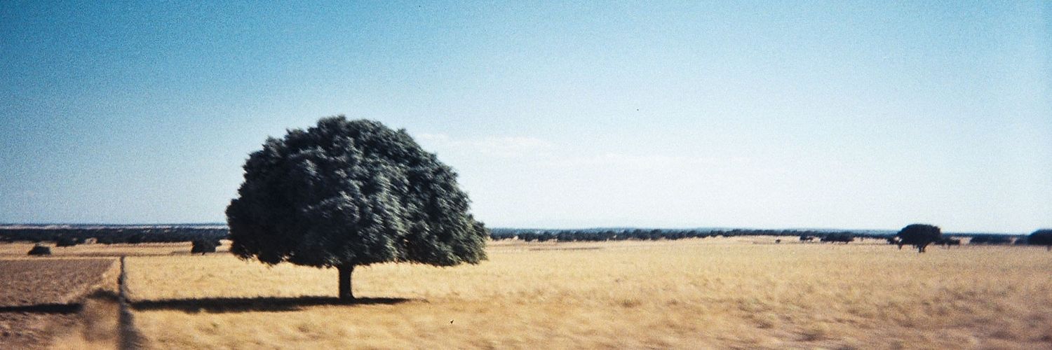 Andresdelcoco's profile banner image