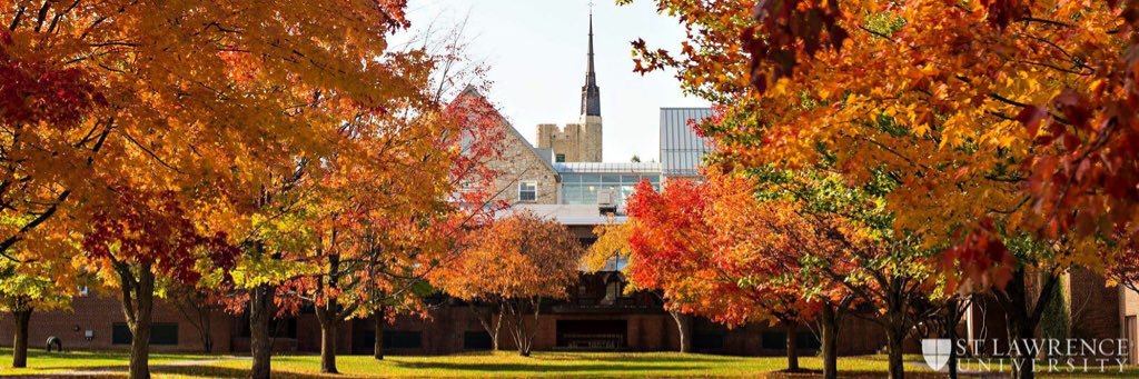 Natalie Cainaru 🇺🇦 banner