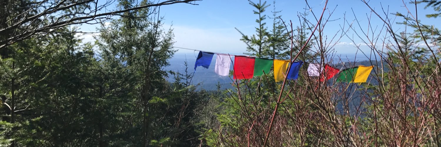 SumSkybaby's profile banner image