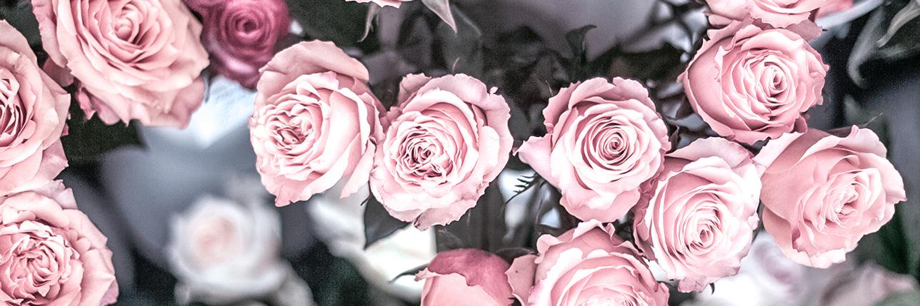lycheestyle's profile banner image