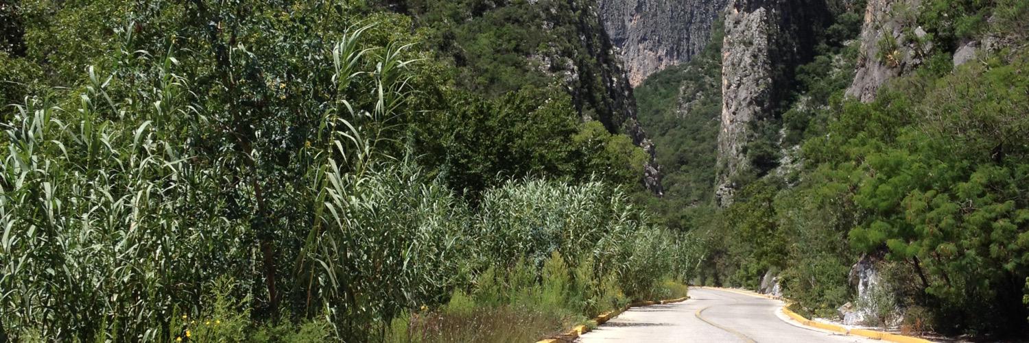 gusgonlo's profile banner image