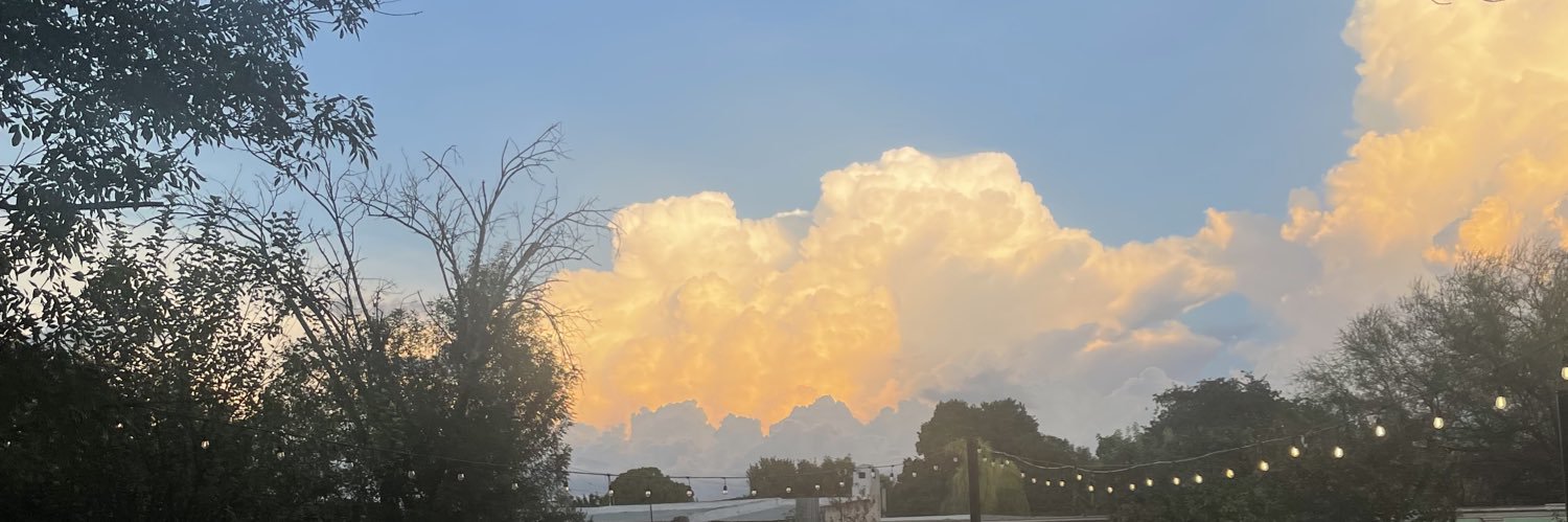 brissramirez's profile banner image