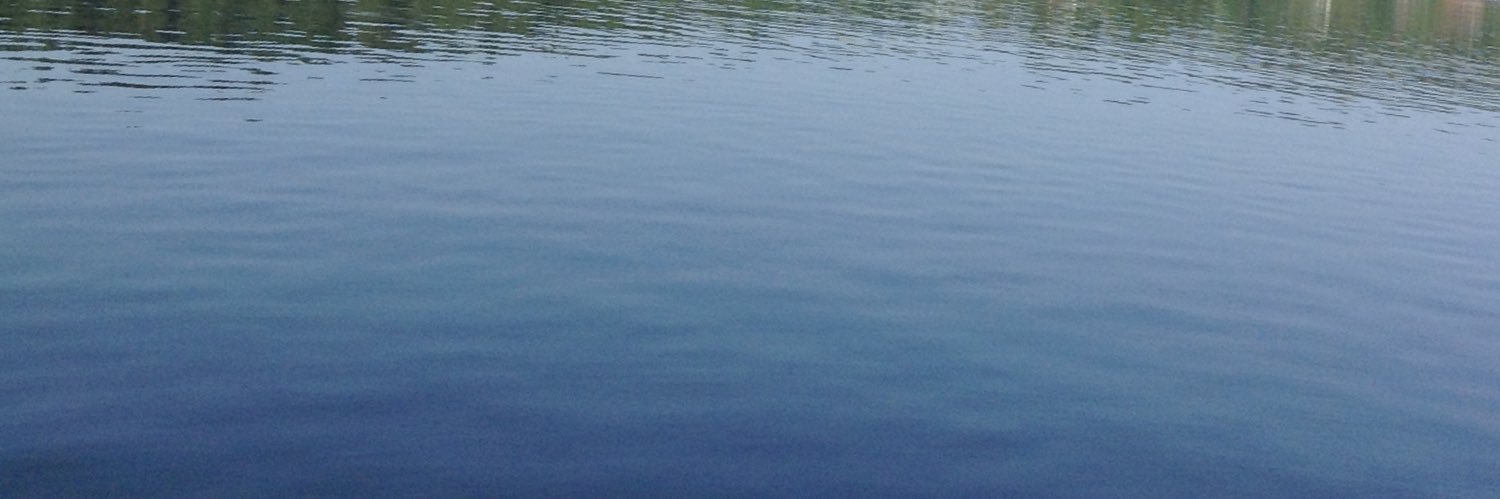 Erin___Doherty's profile banner image