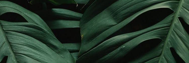 crgneb's profile banner image