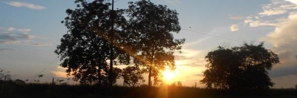 itsablackbird's profile banner image
