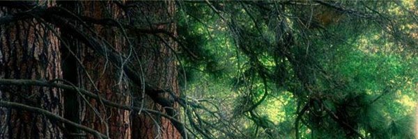 BookClubAmazon Profile Banner