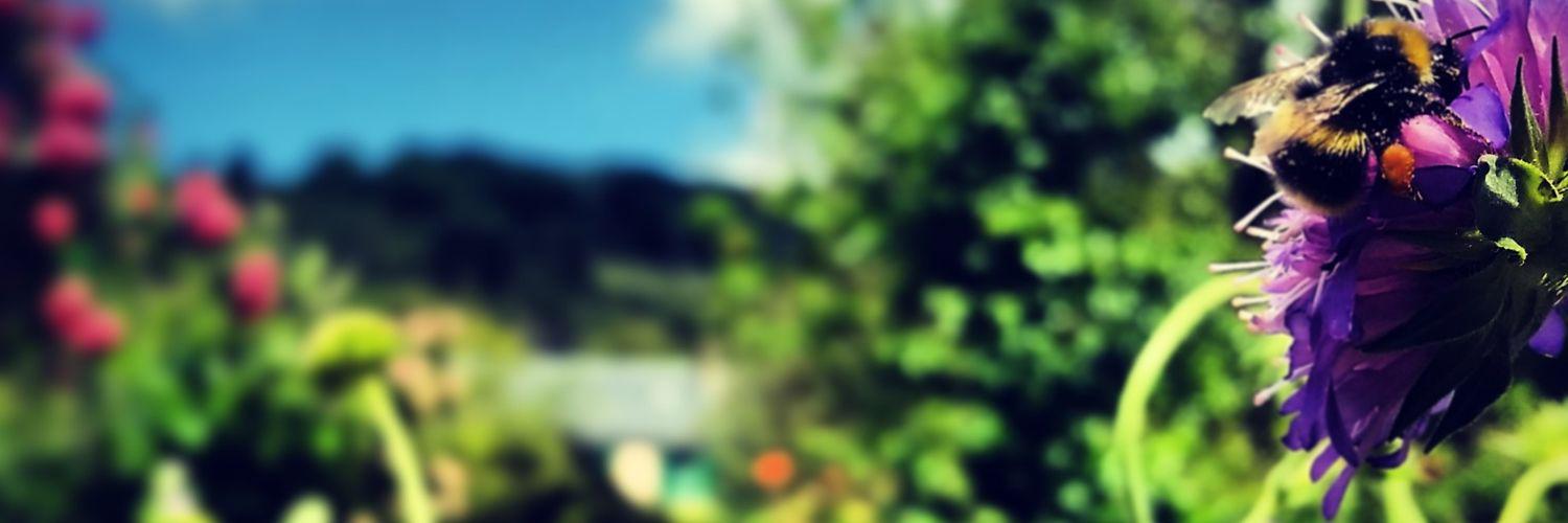 leighfanso's profile banner image