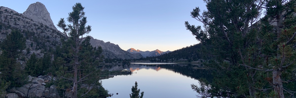 Joyce Sohyun Lee banner