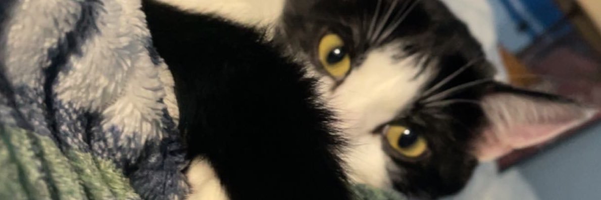 SeriouslyLiv1's profile banner image