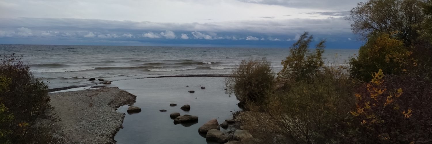 Bari B. 🇨🇦 banner