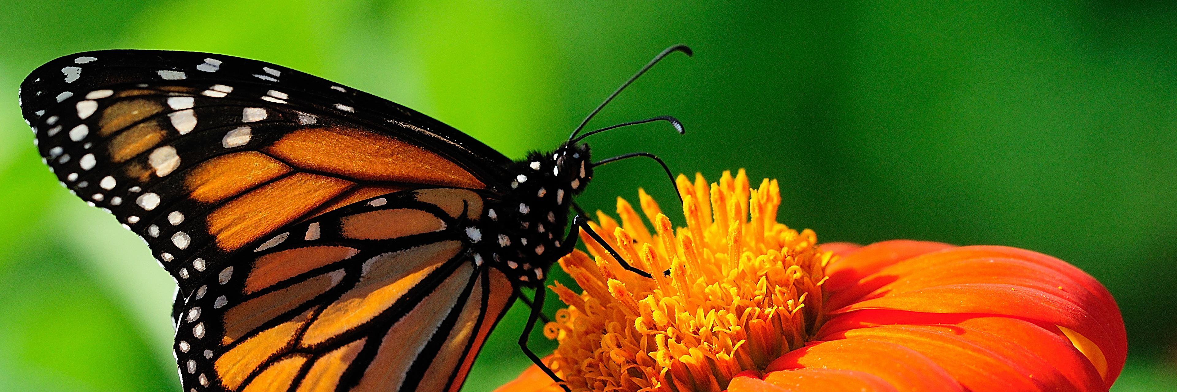 SeniGetsSocial's profile banner image