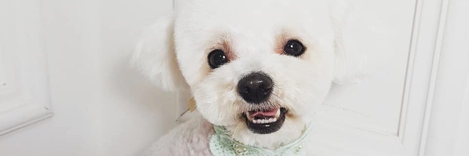 thedenzelcurt's profile banner image
