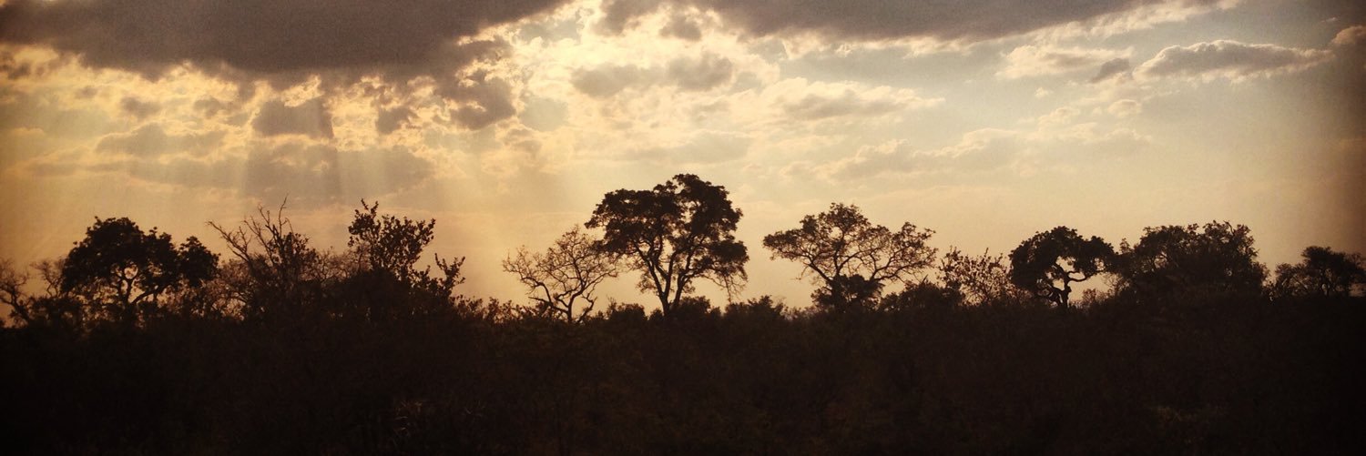 BreaghB's profile banner image