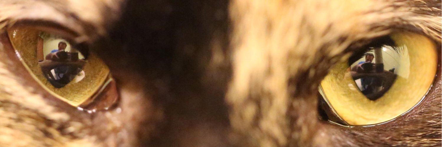 charmcatcafe's profile banner image