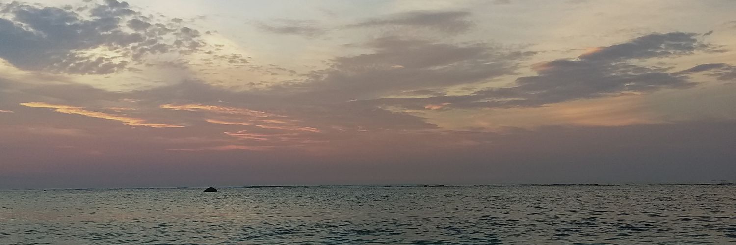 annisasofi23's profile banner image