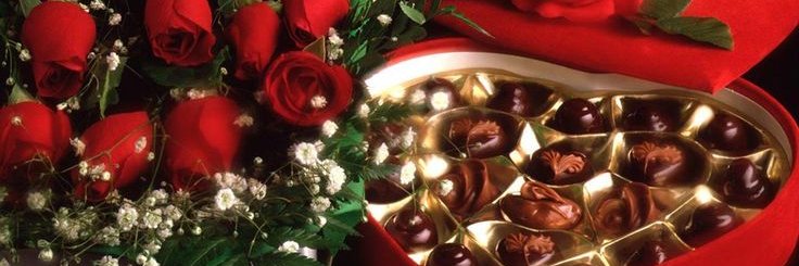 disimiamor's profile banner image