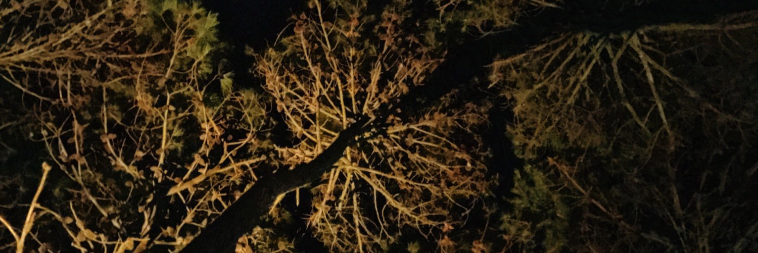 Candeszew's profile banner image