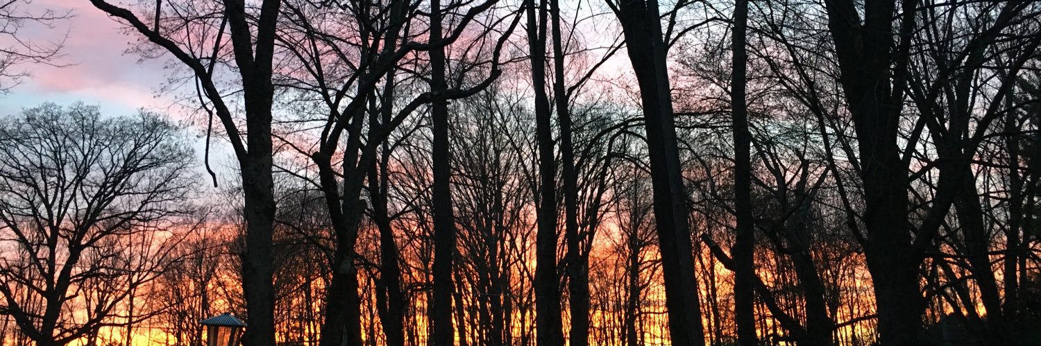 HannahMurkens1's profile banner image