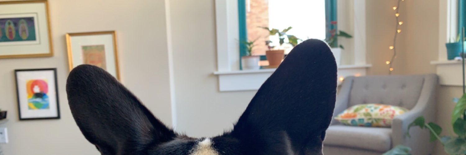 PrestonKenny's profile banner image