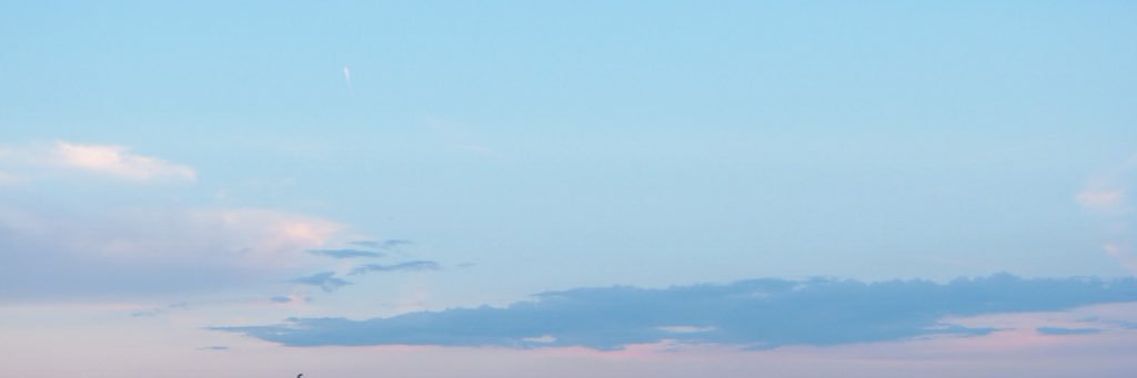 styleunderdog's profile banner image