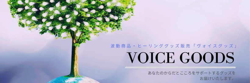 VOICEGOODS's profile banner image