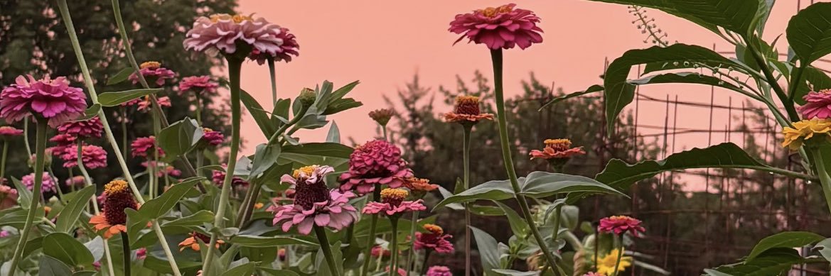 sierraaam2's profile banner image