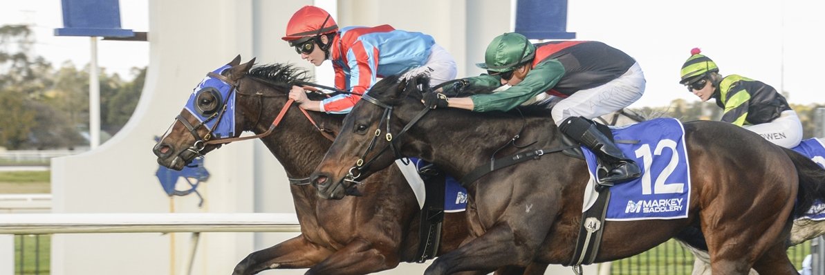 MAD About Racing banner