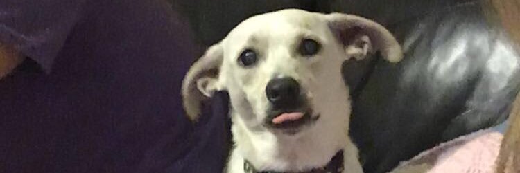 a_fini12's profile banner image