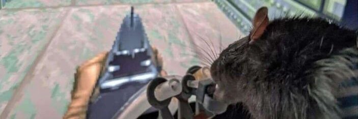 Union of Shitposting Socialist Republics banner