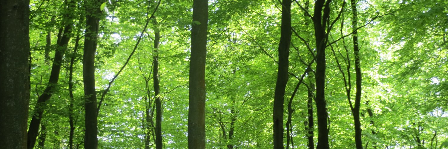 BitsBitesBooks's profile banner image