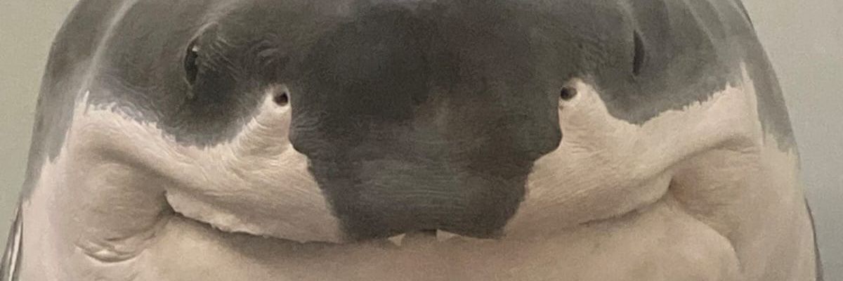 kkklingga's profile banner image