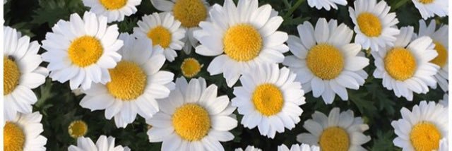 mmccrr723's profile banner image
