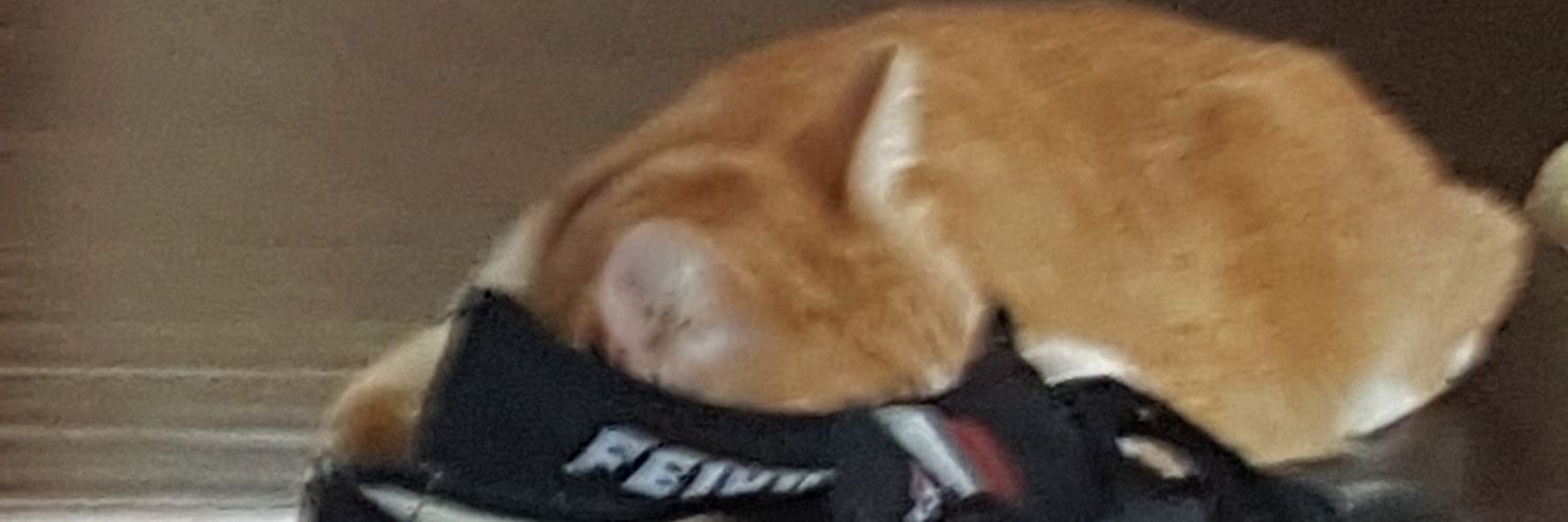 LiveWithRats's profile banner image