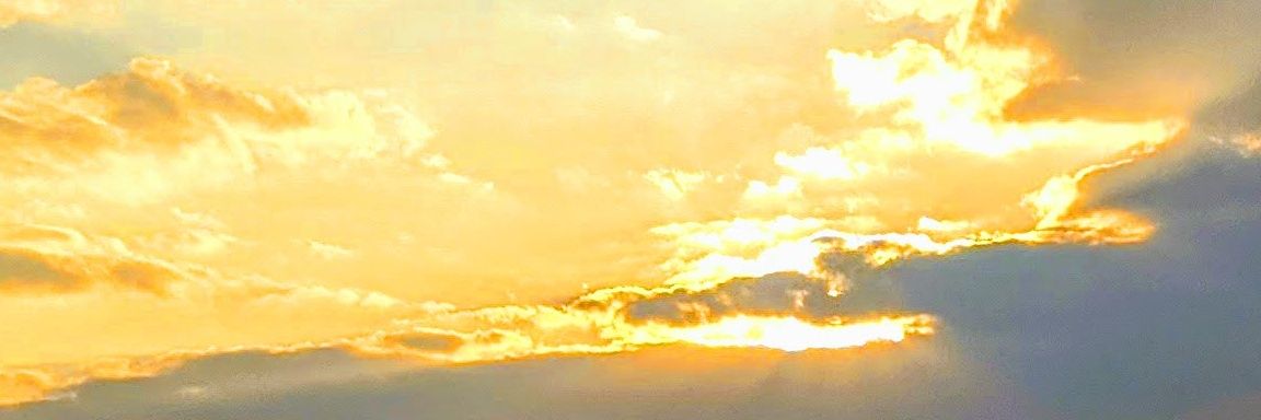 log1120's profile banner image