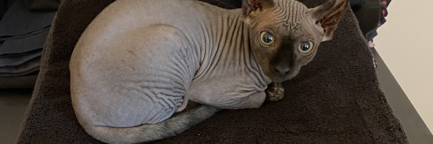 sammyvoodoo's profile banner image