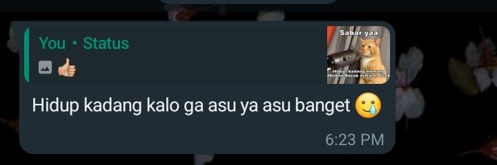 mraisy_'s profile banner image