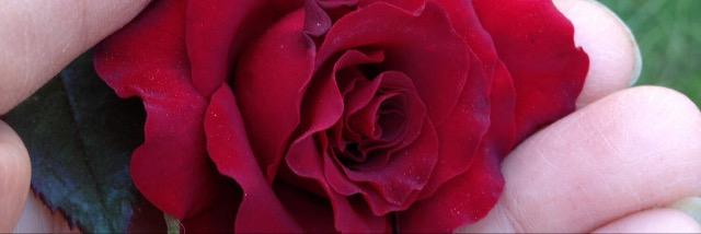 mohe_22's profile banner image