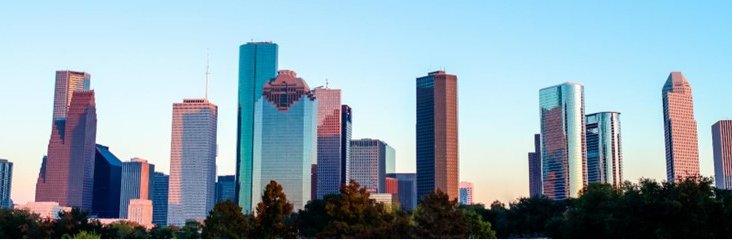 Eleanor Fallon banner