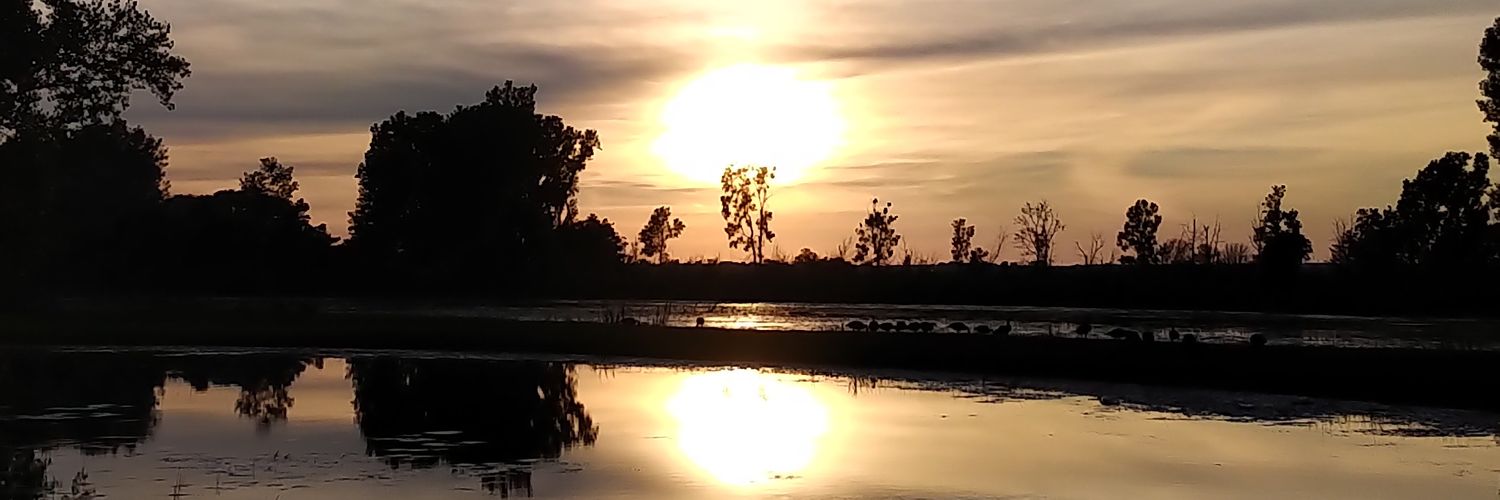 MHurley19's profile banner image