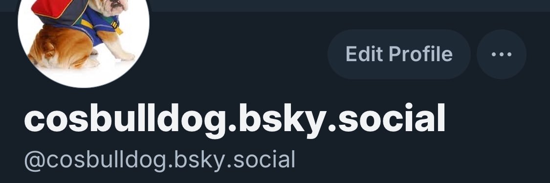 COSBulldog banner
