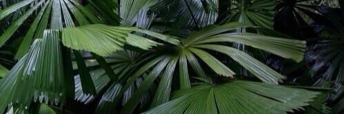 myrnag__'s profile banner image