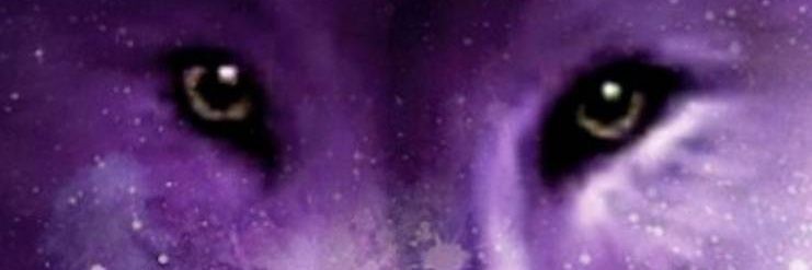 redchick23's profile banner image